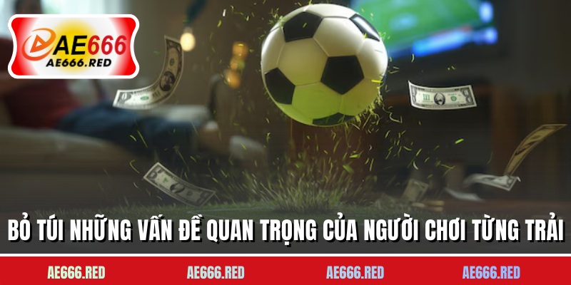 Bỏ túi những vấn đề quan trọng của người chơi từng trải