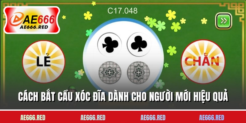 Cách bắt cầu xóc đĩa dành cho người mới hiệu quả