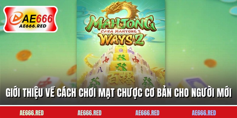 Giới thiệu về cách chơi Mạt Chược cơ bản cho người mới