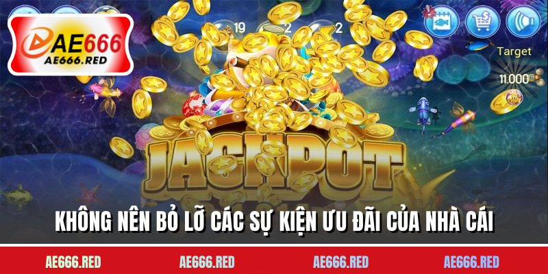 Không nên bỏ lỡ các sự kiện ưu đãi của nhà cái